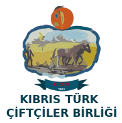 KTCB Logo